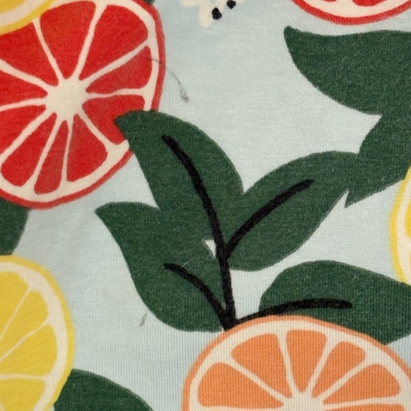 Hanna Andersson Multicolor Fruit Print Dress - Picture 2 of 5